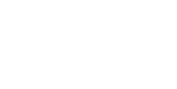 The Protoflow brand wordmark, white lettering on a transparent background